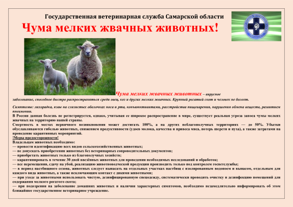 Памятки по болезням животных