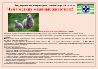 Памятки по болезням животных